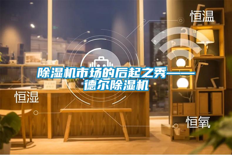 除濕機市場的后起之秀——德爾除濕機