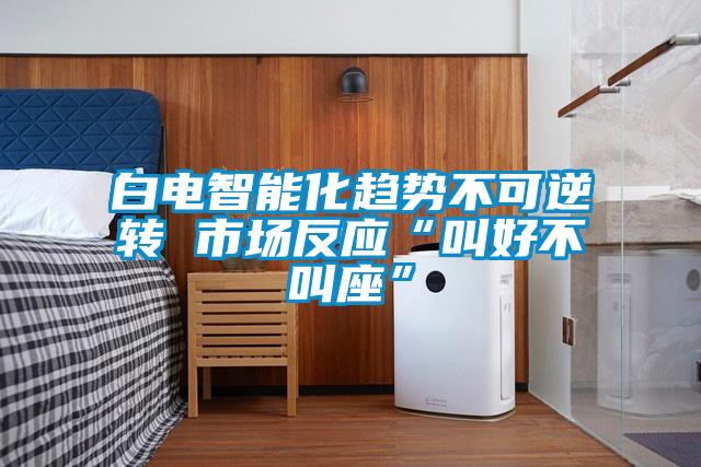 白電智能化趨勢(shì)不可逆轉(zhuǎn) 市場(chǎng)反應(yīng)“叫好不叫座”