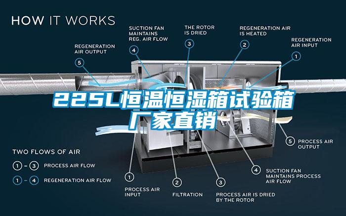 225L恒溫恒濕箱試驗箱廠家直銷