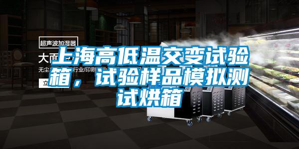 上海高低溫交變?cè)囼?yàn)箱，試驗(yàn)樣品模擬測試烘箱