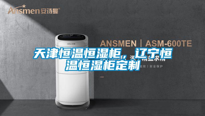 天津恒溫恒濕柜，遼寧恒溫恒濕柜定制