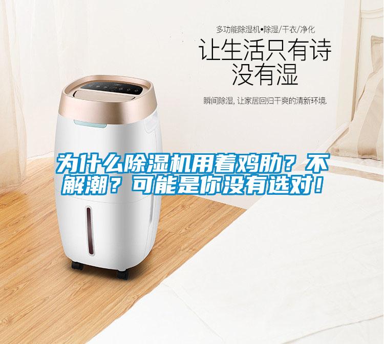 為什么除濕機用著雞肋？不解潮？可能是你沒有選對！