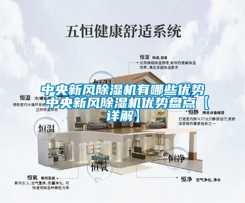 中央新風(fēng)除濕機(jī)有哪些優(yōu)勢 中央新風(fēng)除濕機(jī)優(yōu)勢盤點(diǎn)【詳解】