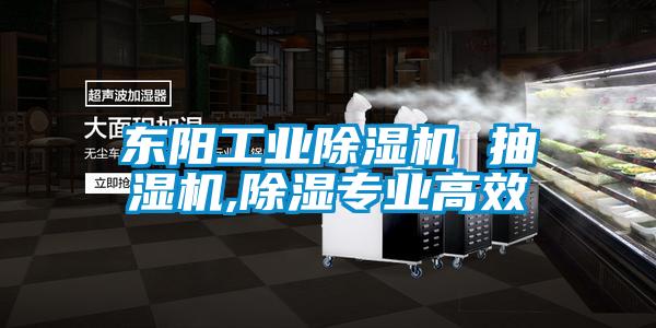 東陽工業(yè)除濕機 抽濕機,除濕專業(yè)高效