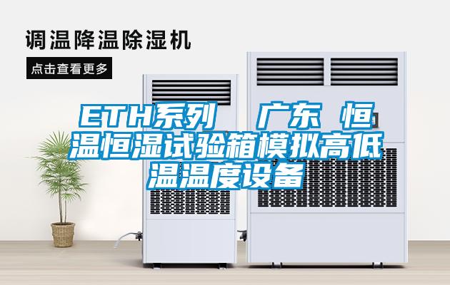 ETH系列  廣東 恒溫恒濕試驗(yàn)箱模擬高低溫溫度設(shè)備