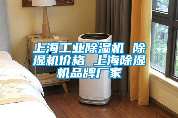 上海工業(yè)除濕機(jī) 除濕機(jī)價(jià)格 上海除濕機(jī)品牌廠家