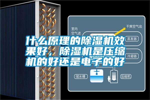 什么原理的除濕機效果好，除濕機是壓縮機的好還是電子的好