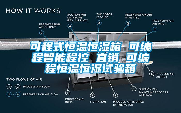 可程式恒溫恒濕箱 可編程智能程控 直銷 可編程恒溫恒濕試驗(yàn)箱