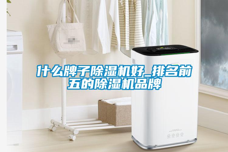 什么牌子除濕機(jī)好_排名前五的除濕機(jī)品牌