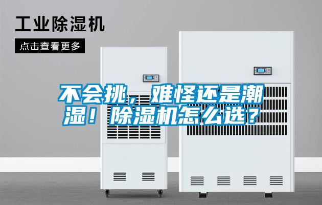 不會挑，難怪還是潮濕！除濕機怎么選？