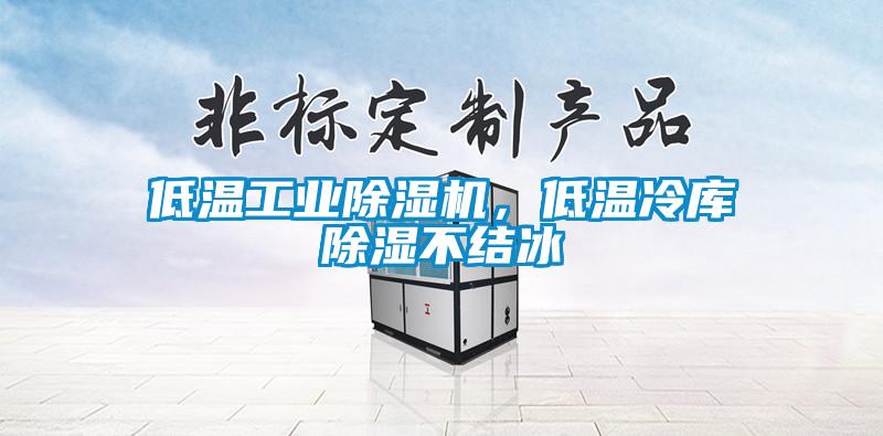 低溫工業(yè)除濕機(jī)，低溫冷庫(kù)除濕不結(jié)冰