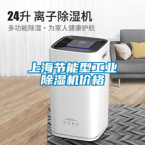 上海節能型工業除濕機價格
