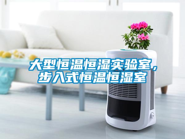 大型恒溫恒濕實驗室，步入式恒溫恒濕室