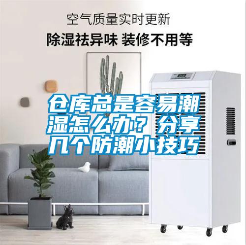 倉庫總是容易潮濕怎么辦？分享幾個防潮小技巧