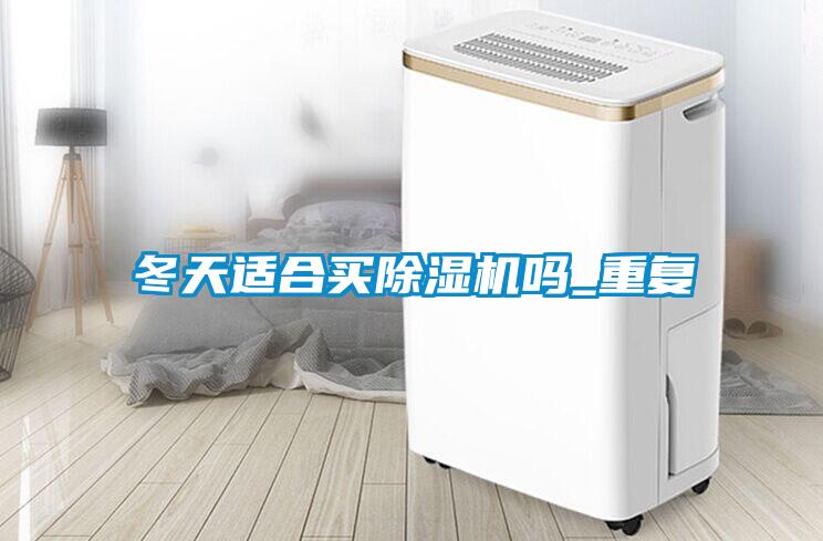 冬天適合買除濕機(jī)嗎_重復(fù)