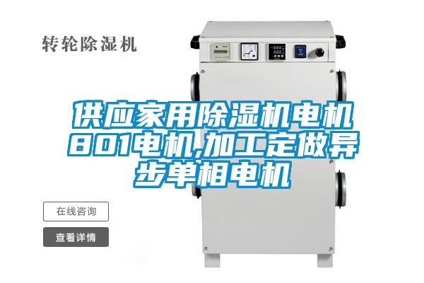 供應(yīng)家用除濕機電機801電機,加工定做異步單相電機