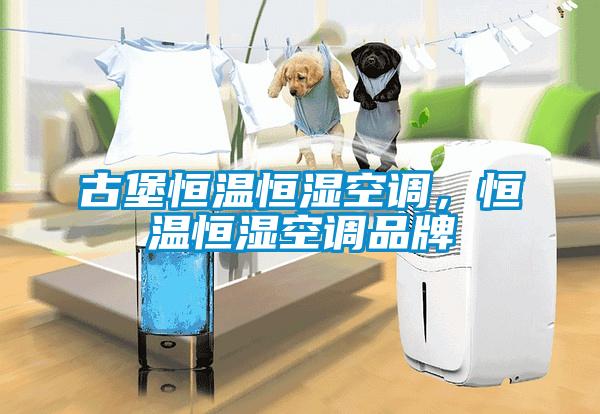 古堡恒溫恒濕空調，恒溫恒濕空調品牌