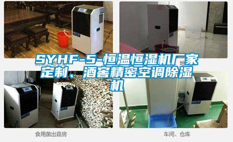 SYHF-5-恒溫恒濕機廠家定制、酒窖精密空調除濕機