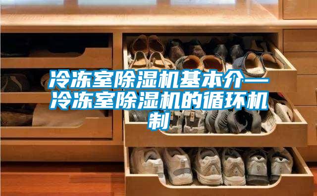 冷凍室除濕機(jī)基本介—冷凍室除濕機(jī)的循環(huán)機(jī)制