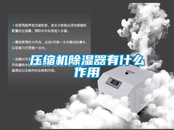 壓縮機(jī)除濕器有什么作用