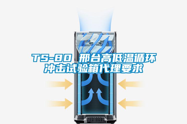 TS-80 邢臺高低溫循環(huán)沖擊試驗箱代理要求