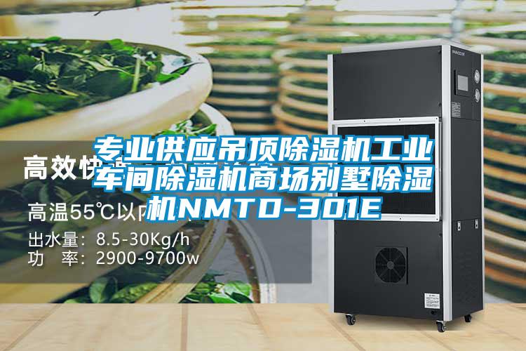 專業(yè)供應(yīng)吊頂除濕機工業(yè)車間除濕機商場別墅除濕機NMTD-301E