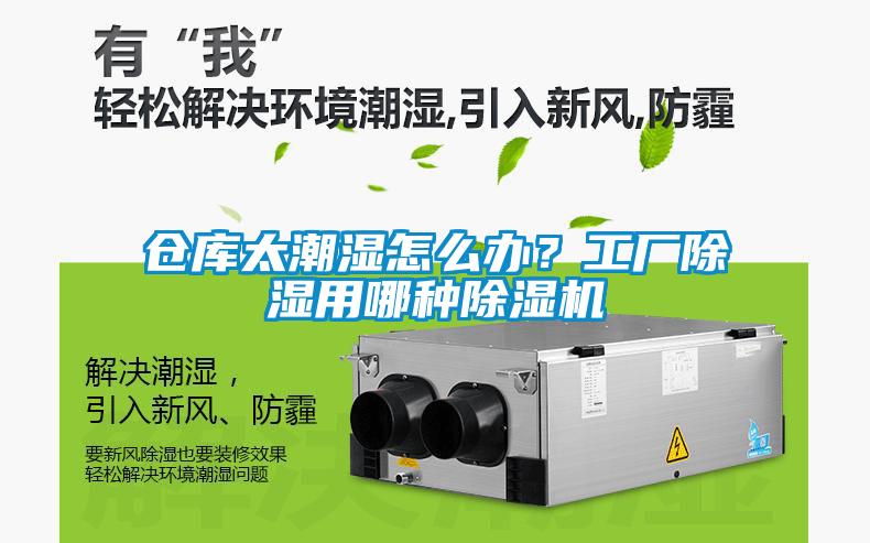 倉庫太潮濕怎么辦？工廠除濕用哪種除濕機(jī)