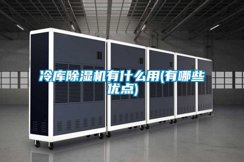 冷庫除濕機(jī)有什么用(有哪些優(yōu)點(diǎn))