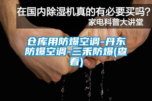 倉(cāng)庫(kù)用防爆空調(diào)-丹東防爆空調(diào)-三禾防爆(查看)