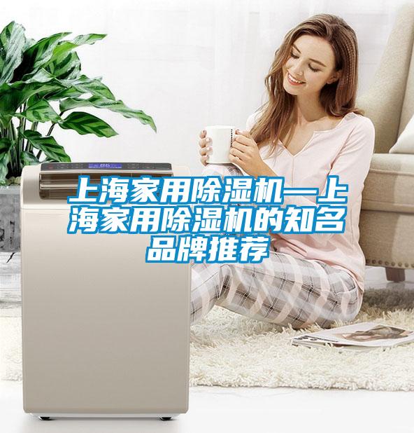 上海家用除濕機(jī)—上海家用除濕機(jī)的知名品牌推薦
