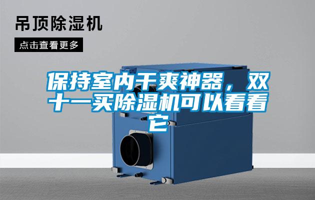 保持室內干爽神器，雙十一買除濕機可以看看它