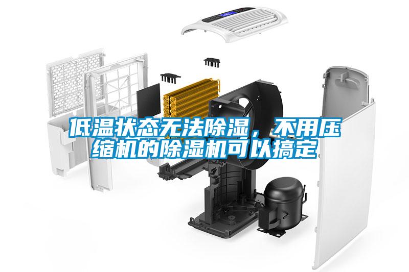 低溫狀態無法除濕，不用壓縮機的除濕機可以搞定
