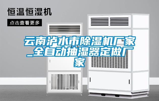 云南瀘水市除濕機廠家_全自動抽濕器定做廠家