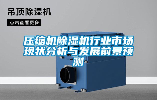 壓縮機(jī)除濕機(jī)行業(yè)市場(chǎng)現(xiàn)狀分析與發(fā)展前景預(yù)測(cè)