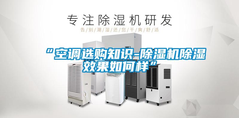 “空調(diào)選購(gòu)知識(shí)-除濕機(jī)除濕效果如何樣”