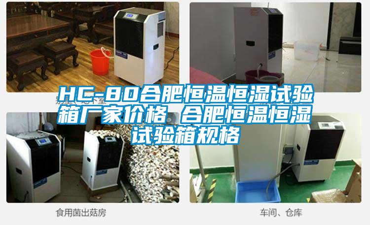 HC-80合肥恒溫恒濕試驗箱廠家價格 合肥恒溫恒濕試驗箱規(guī)格