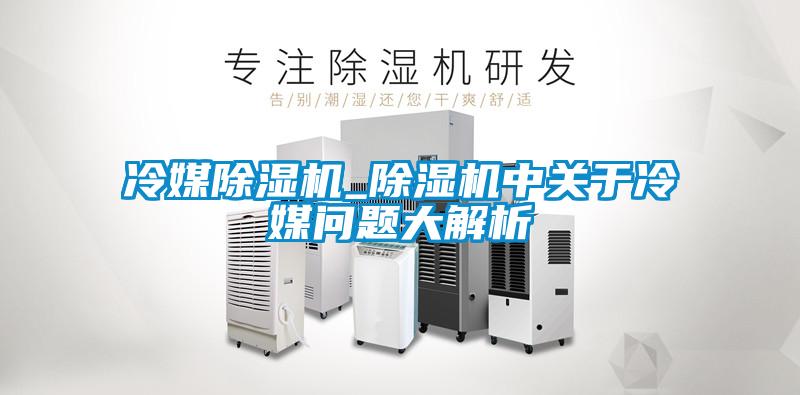 冷媒除濕機(jī)_除濕機(jī)中關(guān)于冷媒問題大解析