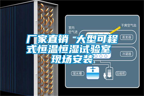 廠家直銷 大型可程式恒溫恒濕試驗室 現場安裝