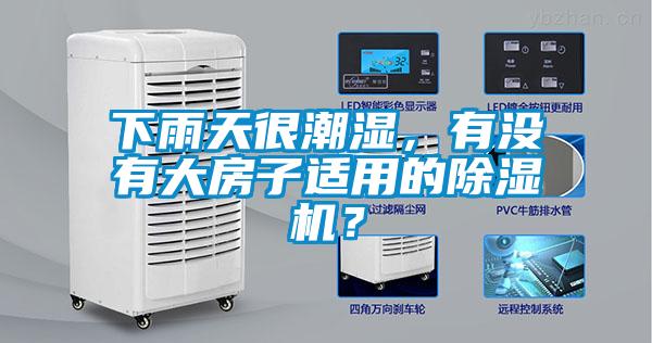 下雨天很潮濕，有沒有大房子適用的除濕機？