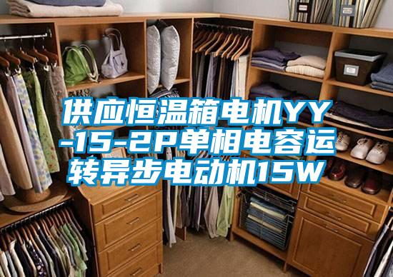 供應恒溫箱電機YY-15-2P單相電容運轉異步電動機15W