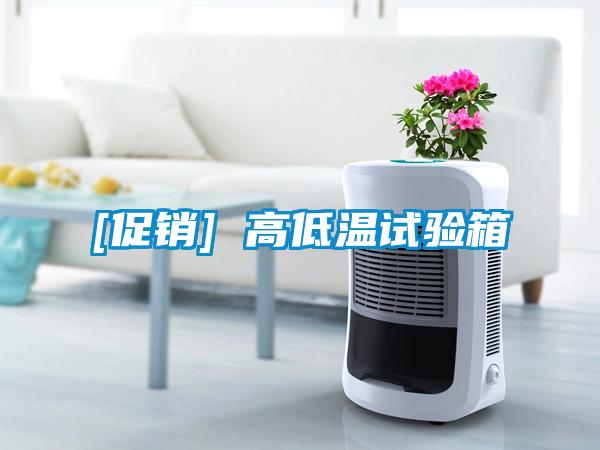 [促銷] 高低溫試驗箱