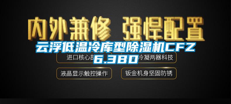 云浮低溫冷庫型除濕機(jī)CFZ6.3BD