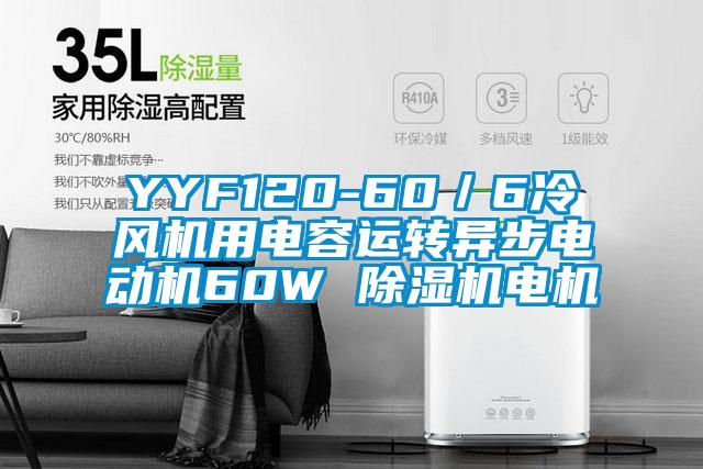 YYF120-60／6冷風(fēng)機(jī)用電容運(yùn)轉(zhuǎn)異步電動(dòng)機(jī)60W 除濕機(jī)電機(jī)