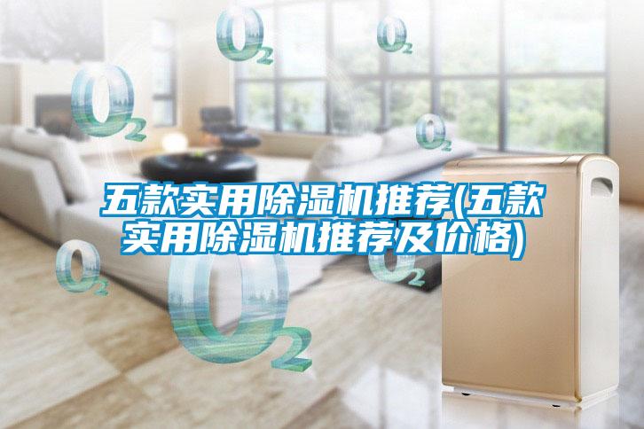 五款實(shí)用除濕機(jī)推薦(五款實(shí)用除濕機(jī)推薦及價(jià)格)