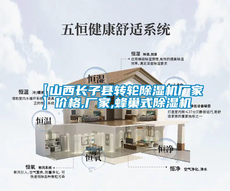 【山西長子縣轉(zhuǎn)輪除濕機(jī)廠家】價格,廠家,蜂巢式除濕機(jī)