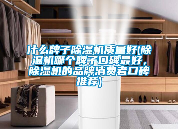 什么牌子除濕機質量好(除濕機哪個牌子口碑最好，除濕機的品牌消費者口碑推薦)