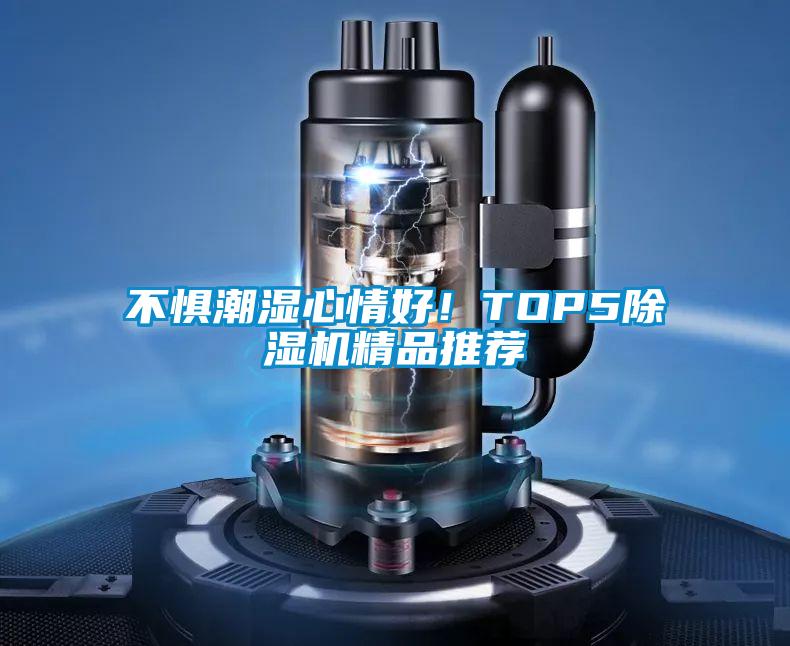 不懼潮濕心情好！TOP5除濕機(jī)精品推薦