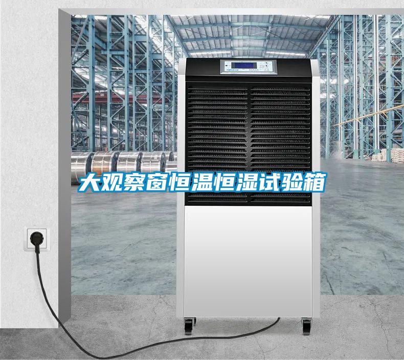 大觀察窗恒溫恒濕試驗(yàn)箱
