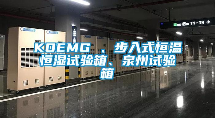 KOEMG 、步入式恒溫恒濕試驗箱、泉州試驗箱