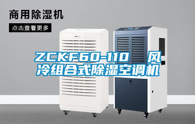 ZCKF60-110  風冷組合式除濕空調(diào)機